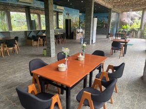   at Butterfly Paradise  in Siem Reap