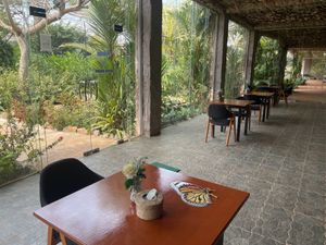   at Butterfly Paradise  in Siem Reap