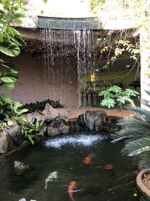 Beautiful ambiance  at Butterfly Paradise  in Siem Reap