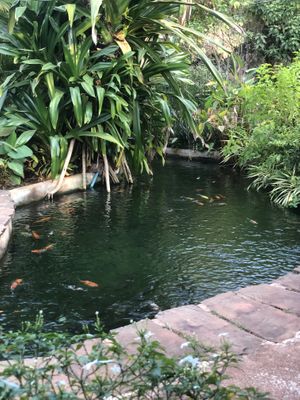 Peaceful atmosphere   at Butterfly Paradise  in Siem Reap