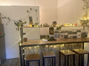   at Herbívora in Oaxaca