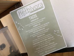 The Tacos!  at Herbívora in Oaxaca