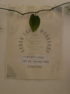 they also offer a vegan taco workshop  at Herbívora in Oaxaca
