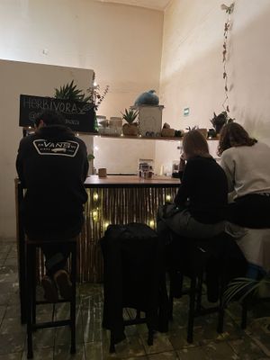 Inside  at Herbívora in Oaxaca