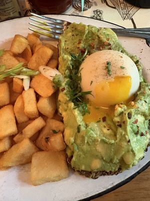   at The Grey Dog in New York City