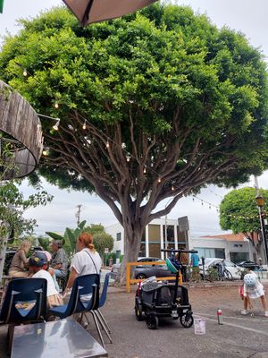 Patio at Sushi Vegan in Santa Monica