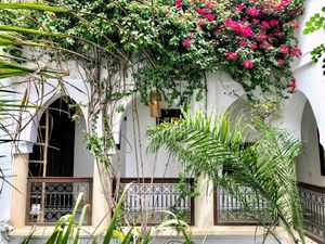 Jungle bougainvillea at Riad Dar Zaman in Marrakech