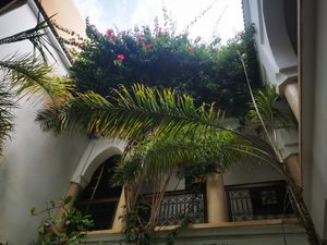  at Riad Dar Zaman in Marrakech