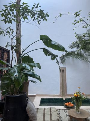   at Riad Dar Zaman in Marrakech