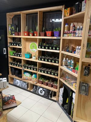  at Origenes in Santiago