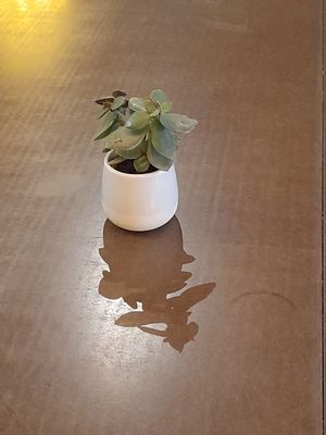 Nature dance veganly at Viet Hoa Cafe & the Fruit in London