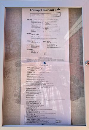 The menu and prices.  at Trumpet Blossom Cafe in Iowa City