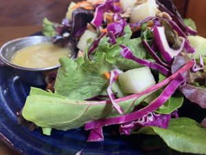 Lovely salad! at Trumpet Blossom Cafe in Iowa City