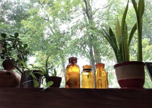 Lovely decor  at Trumpet Blossom Cafe in Iowa City