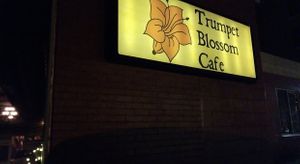 Night view at Trumpet Blossom Cafe in Iowa City