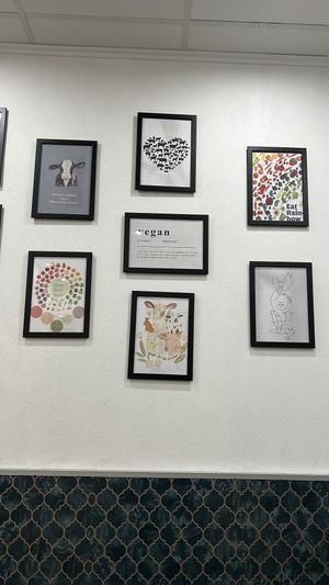   at Dadashi in Hamburg