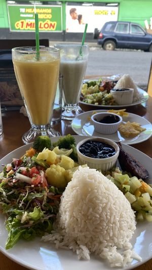   at El Rio  in La Fortuna