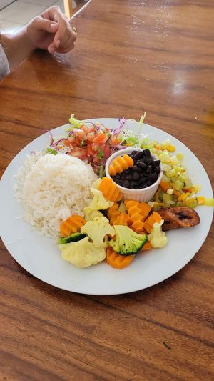 Cazado vegano at El Rio  in La Fortuna