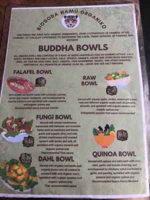 Menu as of Nov 2023  at Sanito in Punta Uva