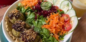 Falafels at Sanito in Punta Uva