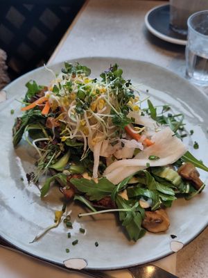 In gute Hände abzugeben at Café Nomad - Handschuhsheim in Heidelberg