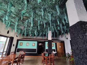 Inside at Tinguaro in La Palma