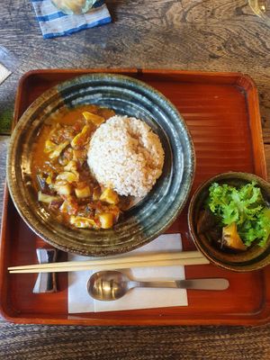 Curry at Mokumoku in Kyoto
