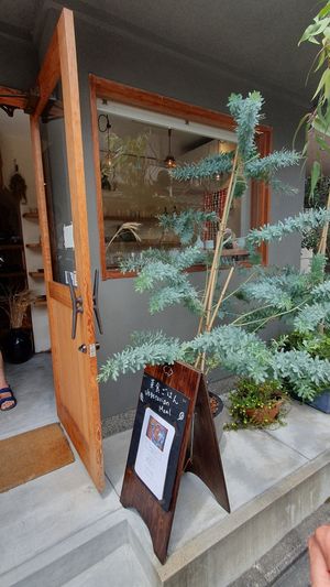 Outside at Mokumoku in Kyoto