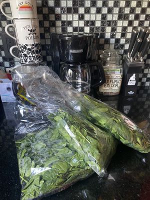 Spinach Haul (Recommend Eco/Sustainable Packaging)  at Downtown Farmers' Market in San Leandro