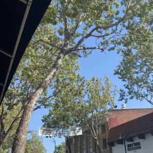 Farmers Market Signage Near Previous Location  at Downtown Farmers' Market in San Leandro