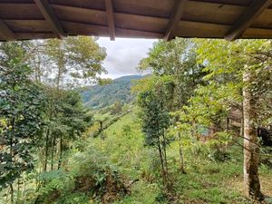 view of forest and mountain  at Terra Tree House in Brinchang