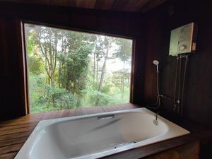 soak in the bath tub with forest view.  at Terra Tree House in Brinchang