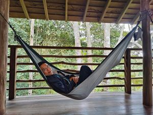 rock a big baby at Terra Tree House in Brinchang