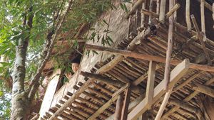 happy smile from boy in the tree house.  at Terra Tree House in Brinchang