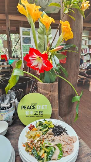 bio-dynamic vegetables and rice.  at Terra Tree House in Brinchang