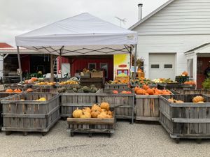 Exterior  at Eddy's Fruit Farm in Chesterland