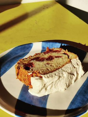   at RADIX & ANIMA in Cologne