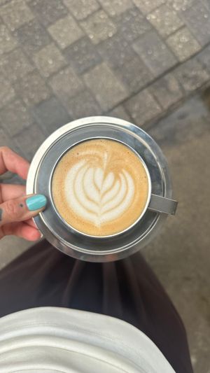   at RADIX & ANIMA in Cologne