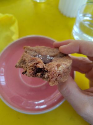  at RADIX & ANIMA in Cologne