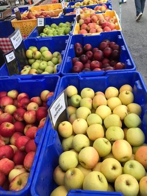 . at Castro Farmers' Market in San Francisco