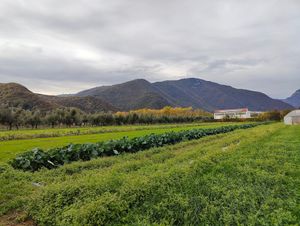 Ciclabile del Brenta dopo i campi tra gli alberi at Fattoria Sociale Conca d'Oro in Bassano Del Grappa