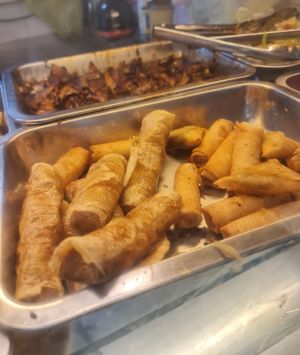 Spring roll ~ 16/11/22 at Zheng Ji Vegetarian - 鉁记素食 in Central Singapore