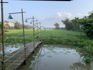 View from the back tables  at Sữa Cafe in Hoi An