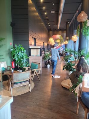  at Die grüne Kaffeebohne in Frankfurt