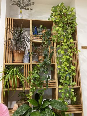 Green but simple facility.  at Panzamorena in Cordoba