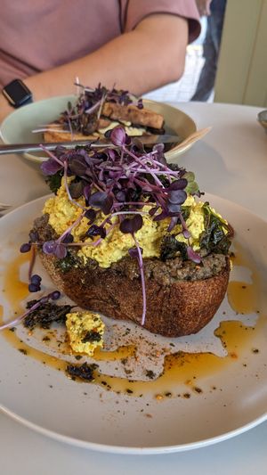 Huge scrambled tofu at The Gator Club in College Park