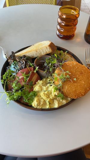   at The Gator Club in College Park