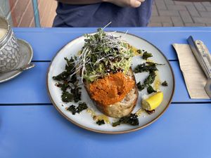 Avogator Toast  at The Gator Club in College Park