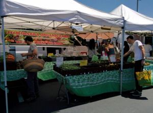 conventional produce at Belmont Farmers' Market in Belmont