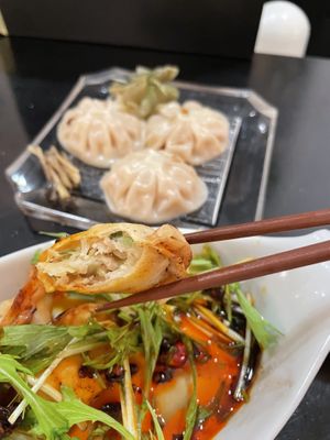 Gyoza   at  Vegan Place SHUWASHUWA PEACE - シュワシュワピース in Tokyo